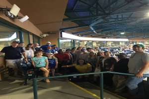 Stuart Law Firm Goes to the Durham Bulls Athletic Park for Summer Outing